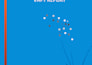 perform professional vulnerability assessment and management